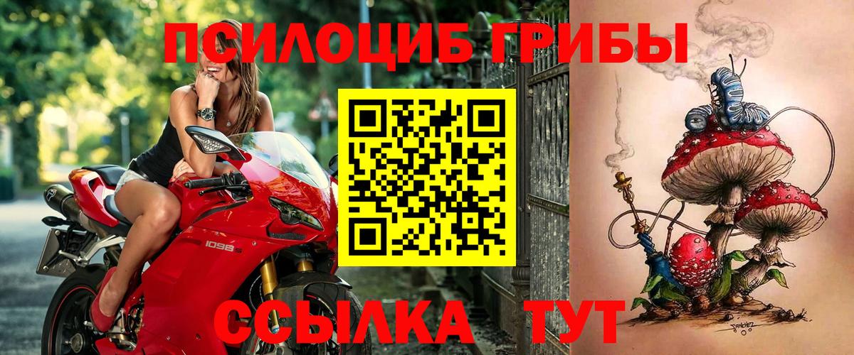 Бийск  Псилоцибиновые грибы GOLDEN TEACHER  Вход с VPN 