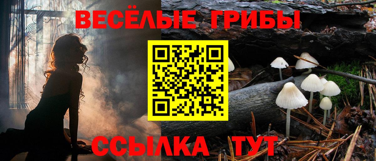 Галлюциногенные грибы GOLDEN TEACHER Бийск